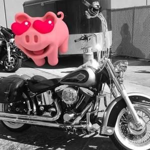 Meet your Posher, Gen